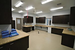 Middleburg Humane Foundation