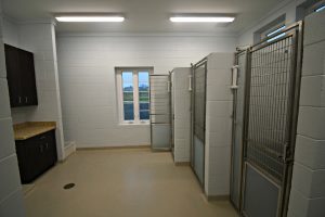 Middleburg Humane Foundation