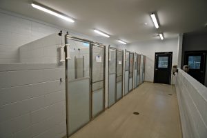 Middleburg Humane Foundation