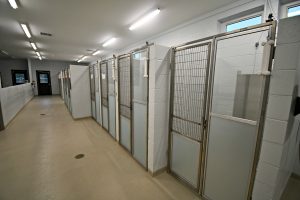 Middleburg Humane Foundation